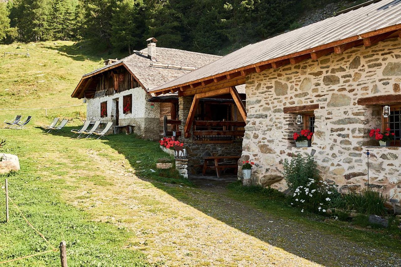 Nestalp Malga Campo Villa Peio Exterior photo